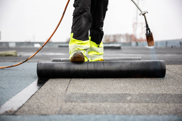 Best Storm Damage Roof Repair  in Mount Olive, NC