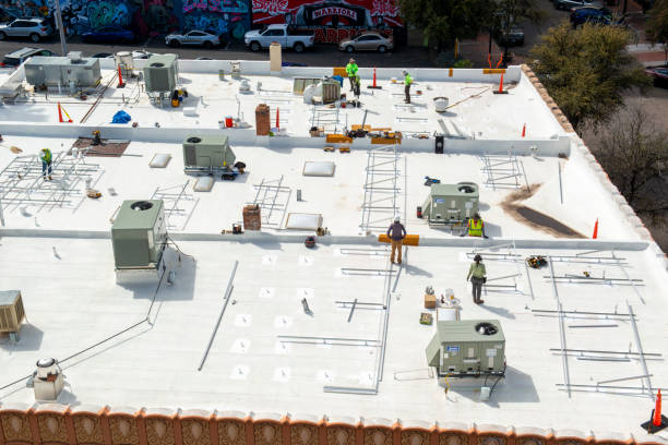 Best Skylight Installation and Repair  in Mount Olive, NC